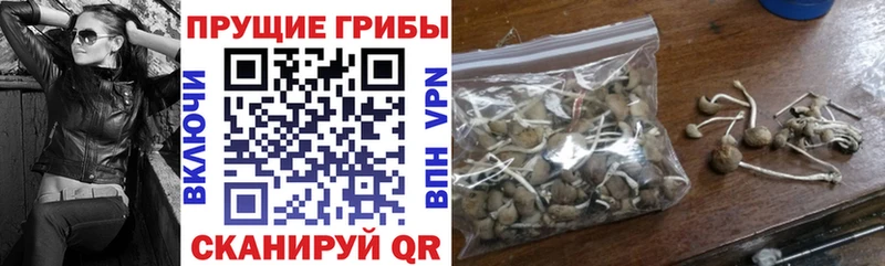 Псилоцибиновые грибы прущие грибы  купить закладку  Венёв 
